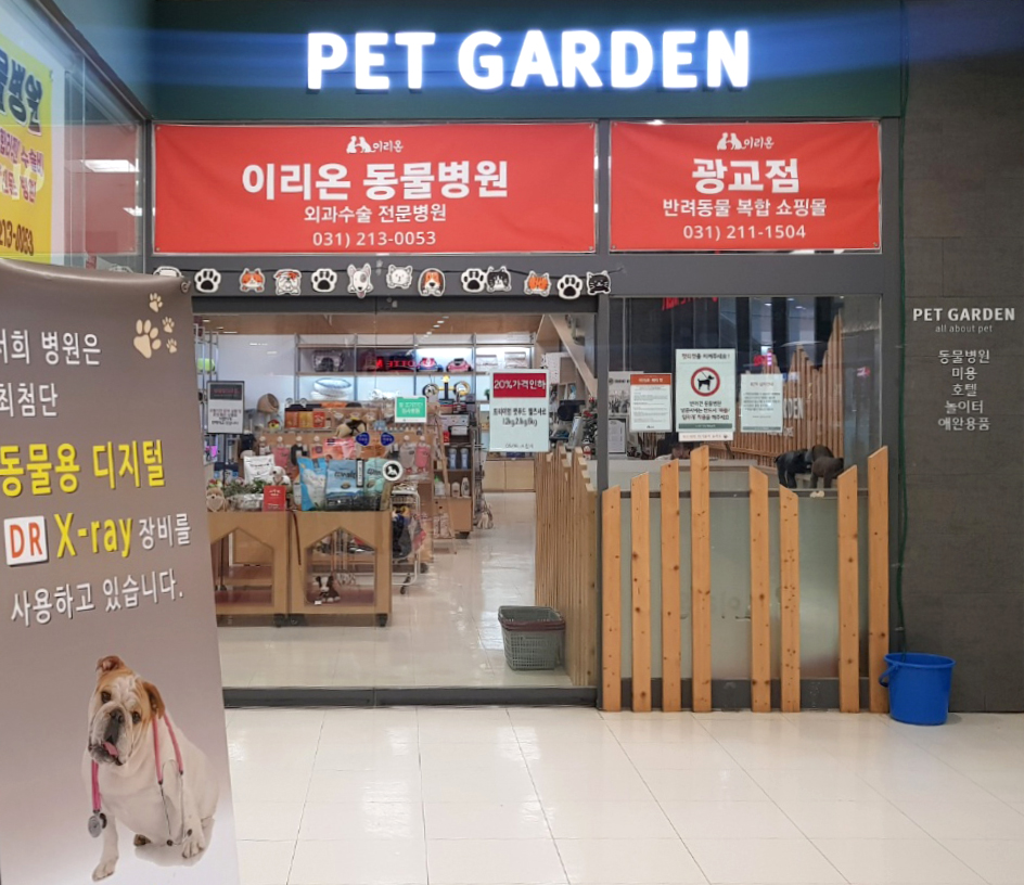 강아지 · 고양이 유선종양 제거 수술 [이리온 동물병원]